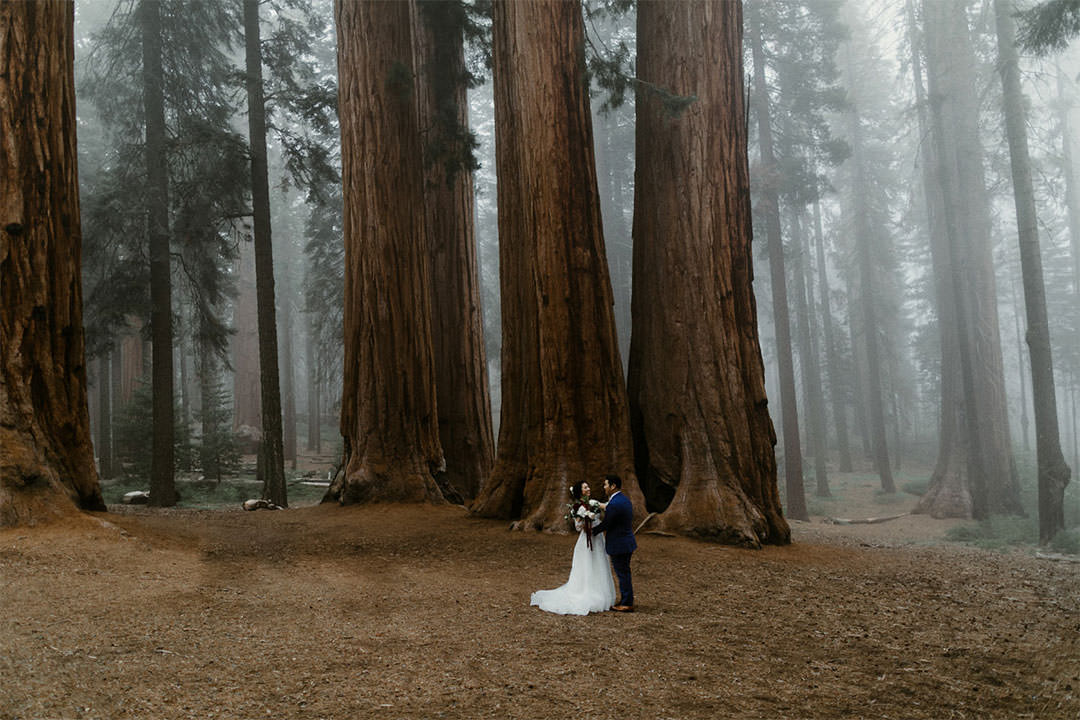 weddings
