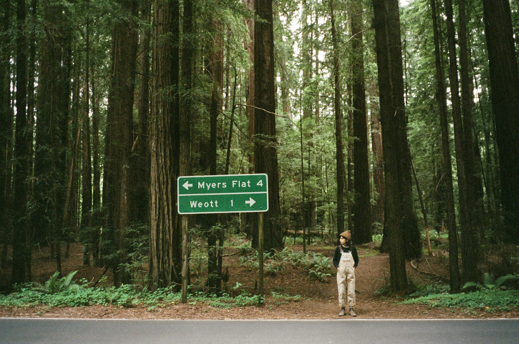 Redwoods-021